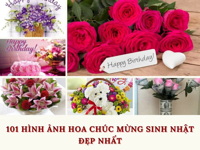 101 hình ảnh hoa chúc mừng sinh nhật đẹp nhất, chất lượng cao, tải miễn phí