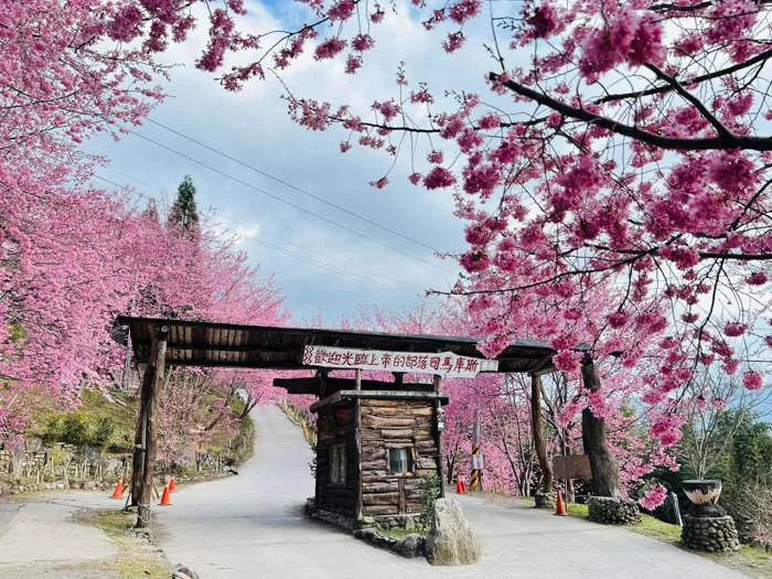 DU LỊCH SAKURA: 7 ĐIỂM ĐẾN NGOÀI NHẬT BẢN NGẮM HOA ANH ĐÀO TUYỆT ĐẸP
