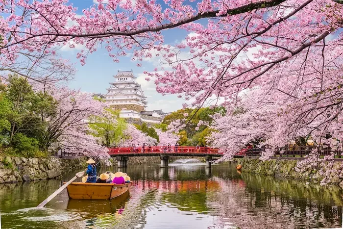 Điểm danh 5 địa điểm ngắm hoa anh đào đẹp nhất ở Osaka - Cập nhật mới nhất