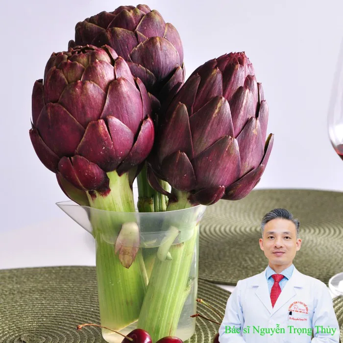 Những tác hại tiềm ẩn ít người biết của hoa atiso đỏ – Không phải ai uống  cũng tốt