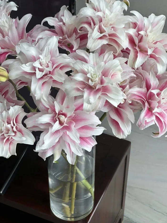 Cắm bình hoa bách hợp Isabella 