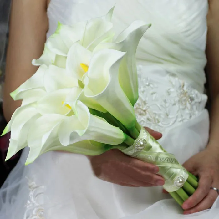 Những điều bạn chưa biết về hoa bách hợ