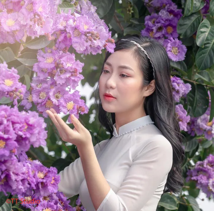 Chụp ảnh với hoa bằng lăng