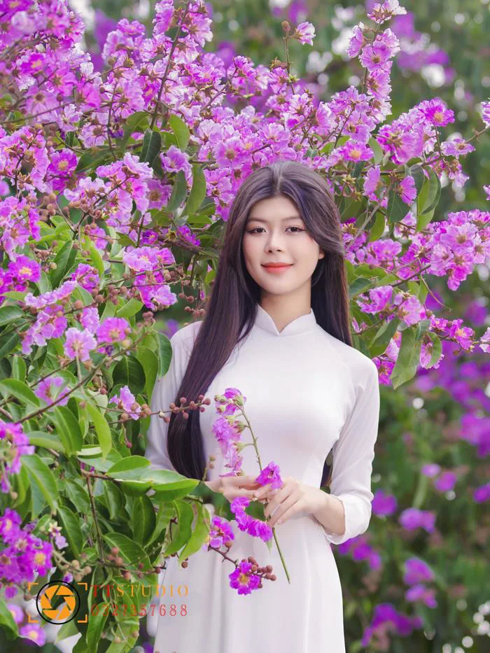 Hoa bằng lăng là hoa gì?
