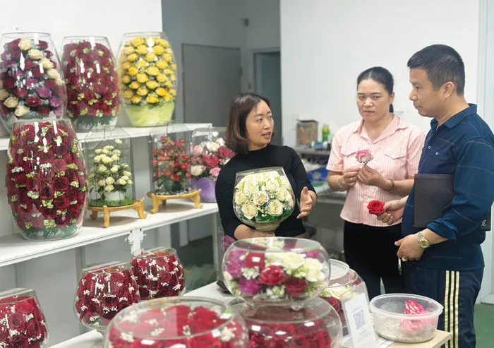 Hoa bất tử