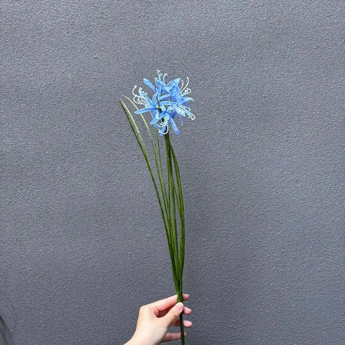 Cành Hoa Bỉ Ngạn Màu Xanh