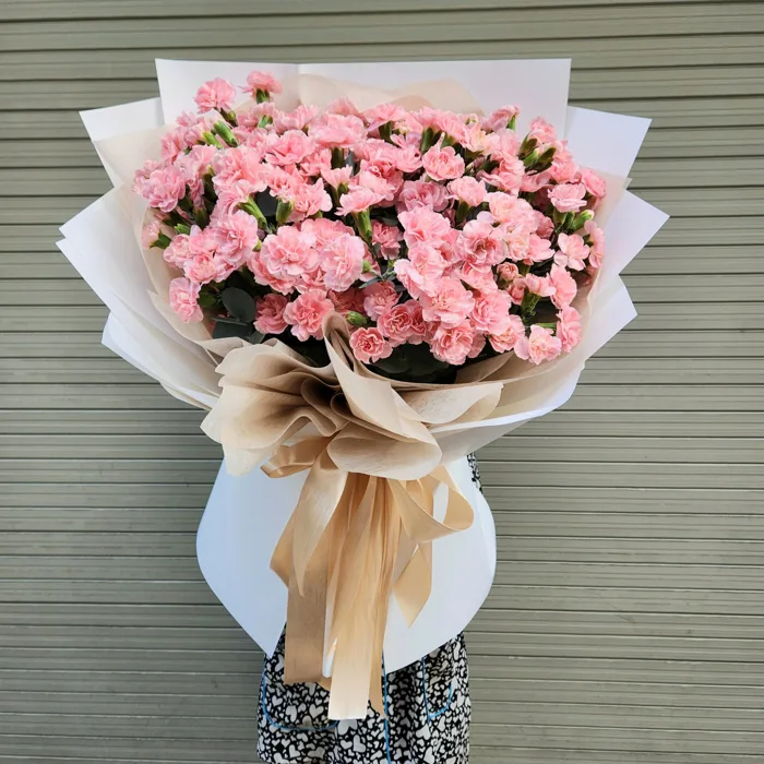 Bó Hoa Cẩm Chướng Hồng