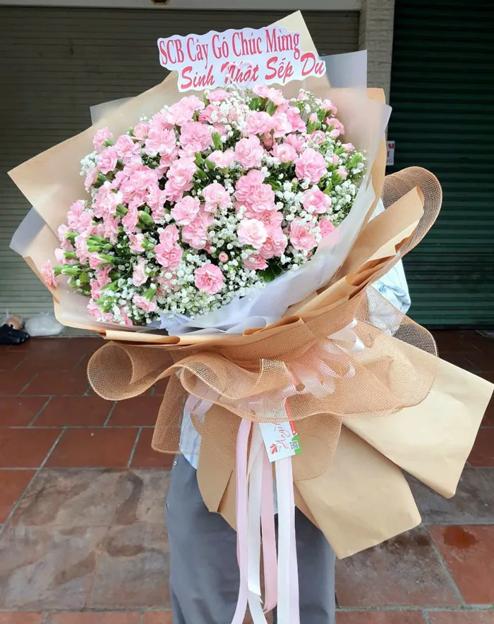bó hoa cẩm chướng đẹp