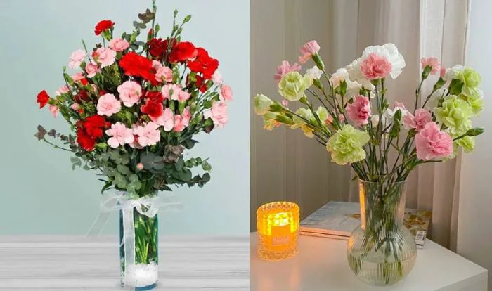 12 cách cắm hoa cẩm chướng đẹp, phù hợp mọi không gian dễ thực hiện