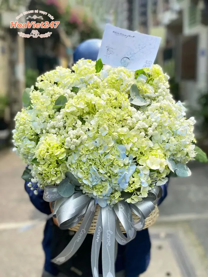 Giỏ Hoa Cẩm Tú Cầu Tặng Khai Trương GH068
