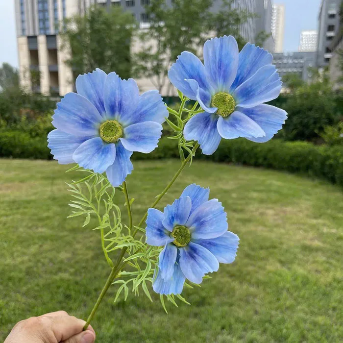 Hoa cánh bướm sao nhái 1 cành 3 bông 46cm trang trí phòng, tiệc cưới, hoa  cúc hà lan decor nhà cửa, bó hoa cầm tay