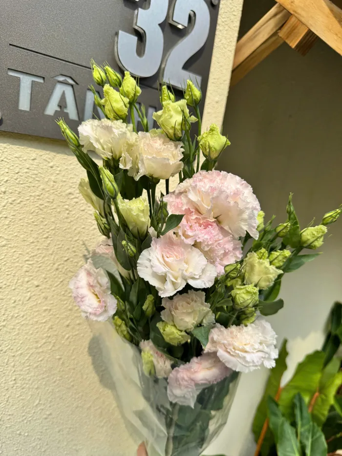 Hoa cát tường xoăn phớt hồng - Nàng Hoa Farm