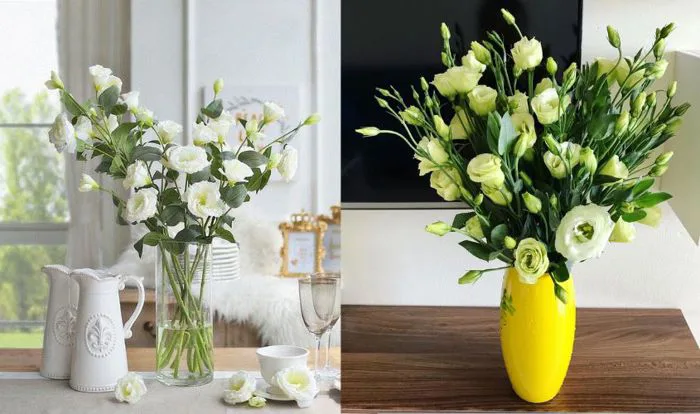 14 cách cắm hoa cát tường sang trọng, đẹp mắt cho từng loại bình