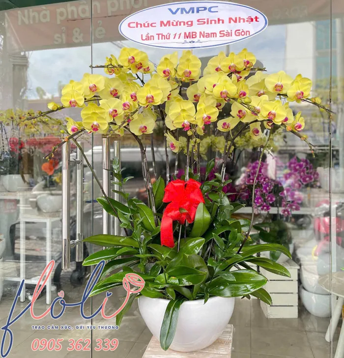 Hoa chúc mừng sinh nhật công ty, kỷ niệm thành lập - FLoLi