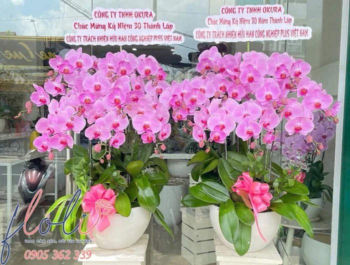 Hoa chúc mừng sinh nhật công ty, kỷ niệm thành lập - FLoLi