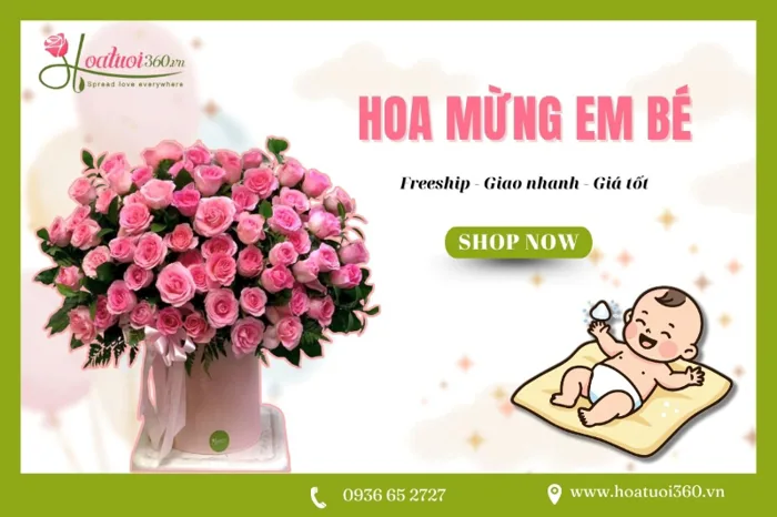 58+ Mẫu hoa mừng em bé mẹ khoẻ sau sinh