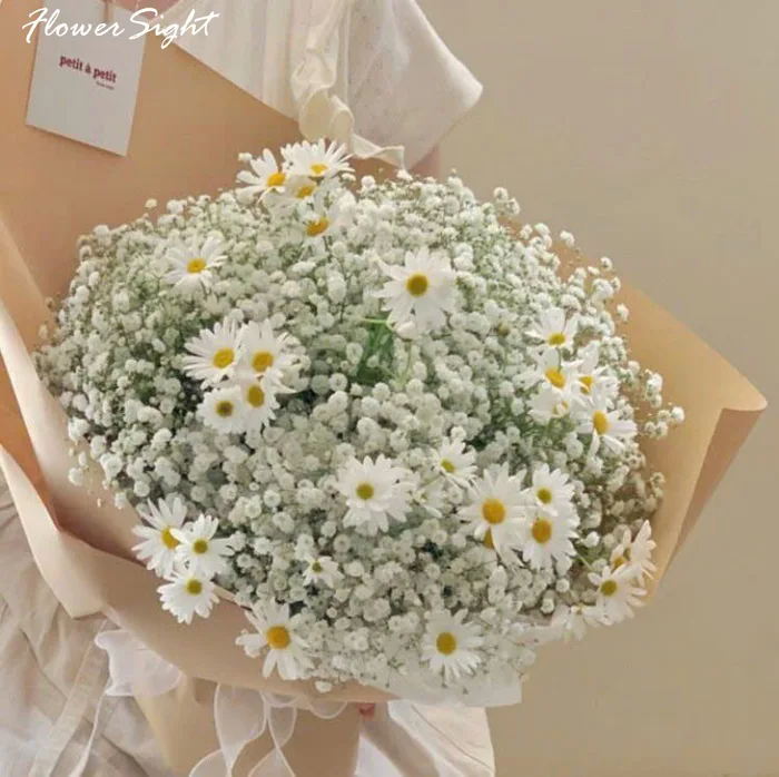 Hoa Cúc Dại: Đặc điểm, ý Nghĩa Và ứng Dụng Trong đời Sống