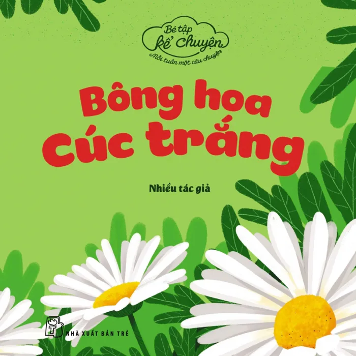 Bông Hoa Cúc Trắng