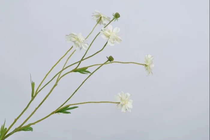 Hoa Cúc Màu Trắng 65Cm