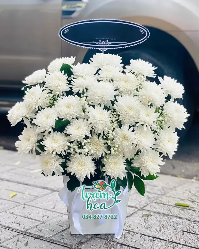 Hoa Chia Buồn Giỏ Hoa Cúc Trắng CB116 – Tone Trắng Trang Trọng | Trạm Hoa