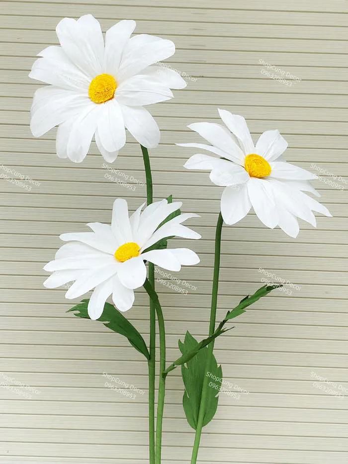 Cụm hoa cúc trắng khổng lồ trang trí backdrop - Shop Cưng Decor
