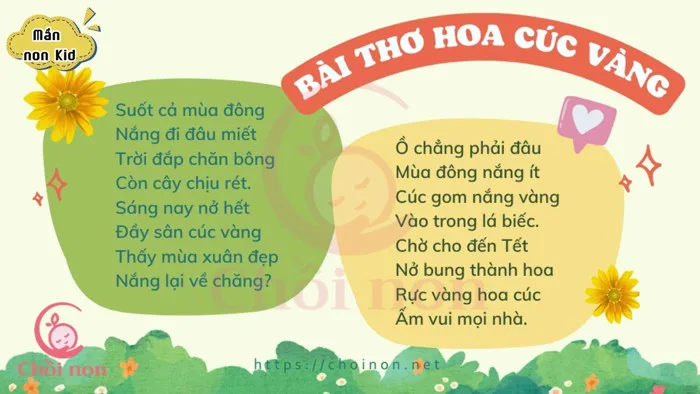 Bài Thơ Hoa Cúc Vàng - Thơ mầm non - Thơ thiếu nhi hay nhất