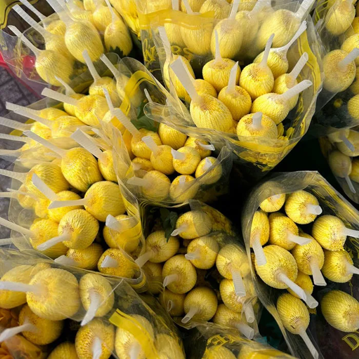 Hoa Cúc Lưới Vàng Sỉ Thùng Đà Lạt - Nàng Hoa Farm