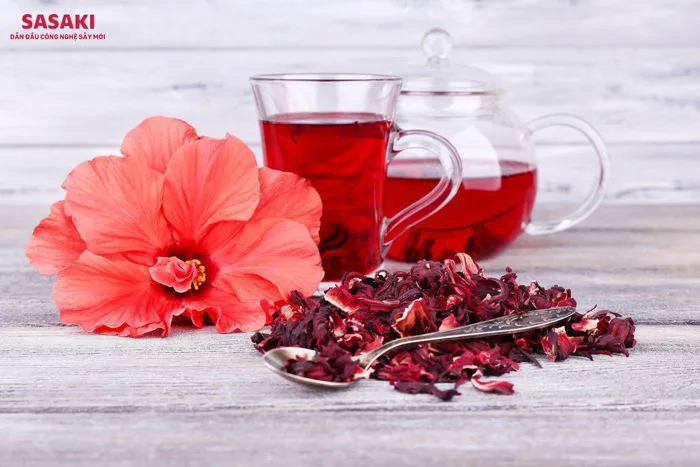 Những tác dụng của hoa dâm bụt khô đối với con người - SASAKI - Công Nghệ  Bảo Toàn Giá Trị Thực Phẩm Tương Lai
