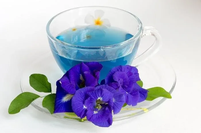 Ngăn ngừa lão hóa và bảo vệ sức khỏe bằng trà hoa đậu biếc, tắc và mật ong  | naturaglacé
