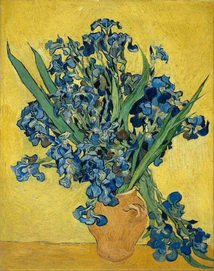 Những đóa hoa diên vĩ của van Gogh