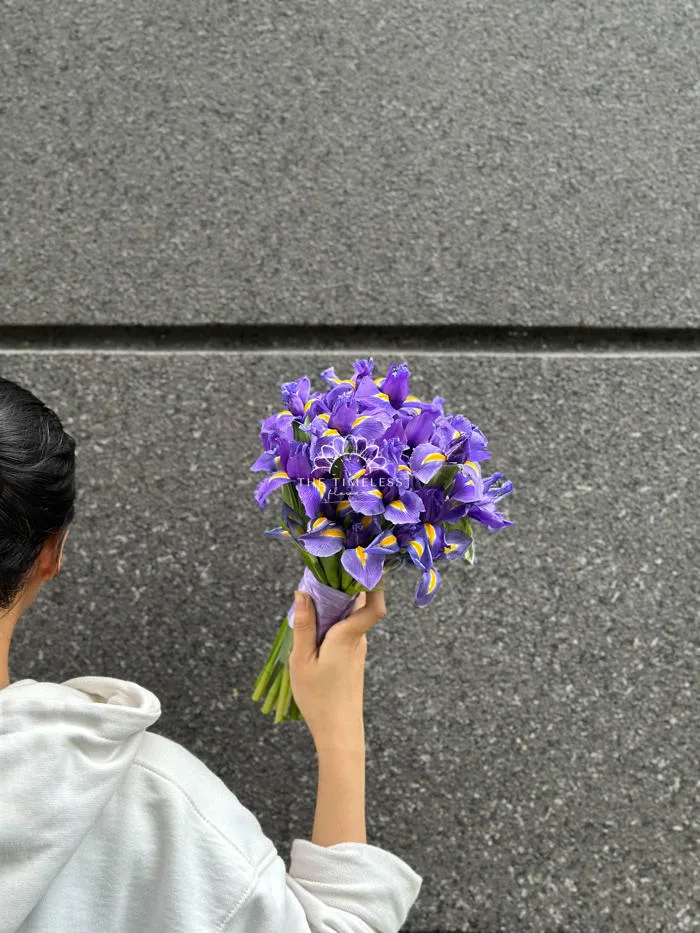Hoa Cưới Diên Vỹ - IRIS A48 - The Time Less Flowers