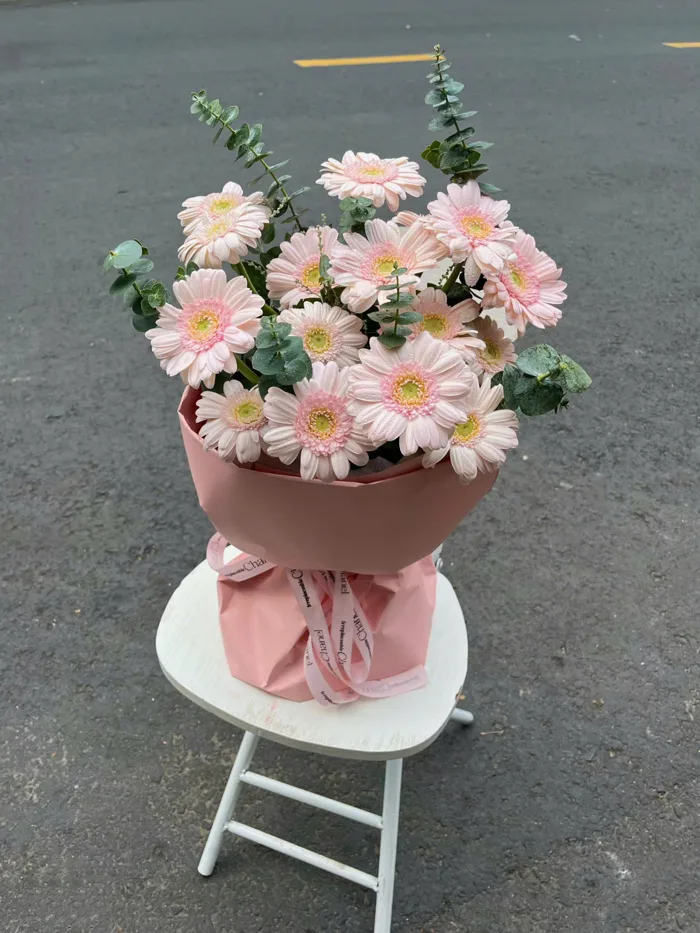 Bó Hoa đồng tiền màu hồng Ngọt Ngào - B23144