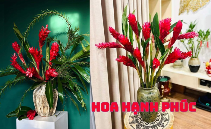 Hoa hạnh phúc là gì? Ý nghĩa, cách trồng và cắm hoa thu hút tài lộc – Flosa