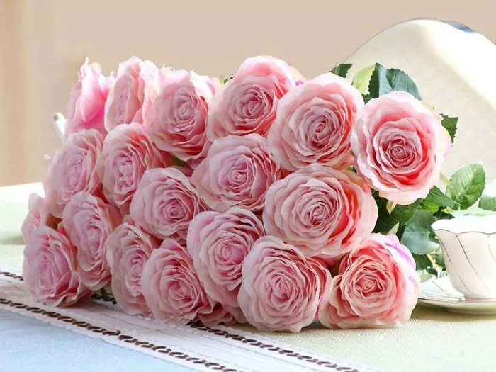 Vẻ đẹp say đắm của hoa hồng - Nữ hoàng của các loài hoa