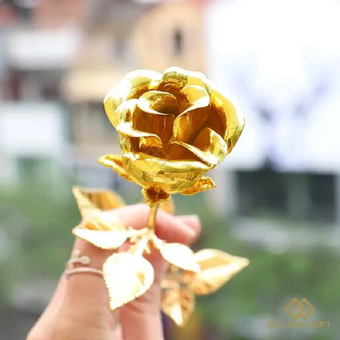 Hoa Hồng mạ vàng 24K thật