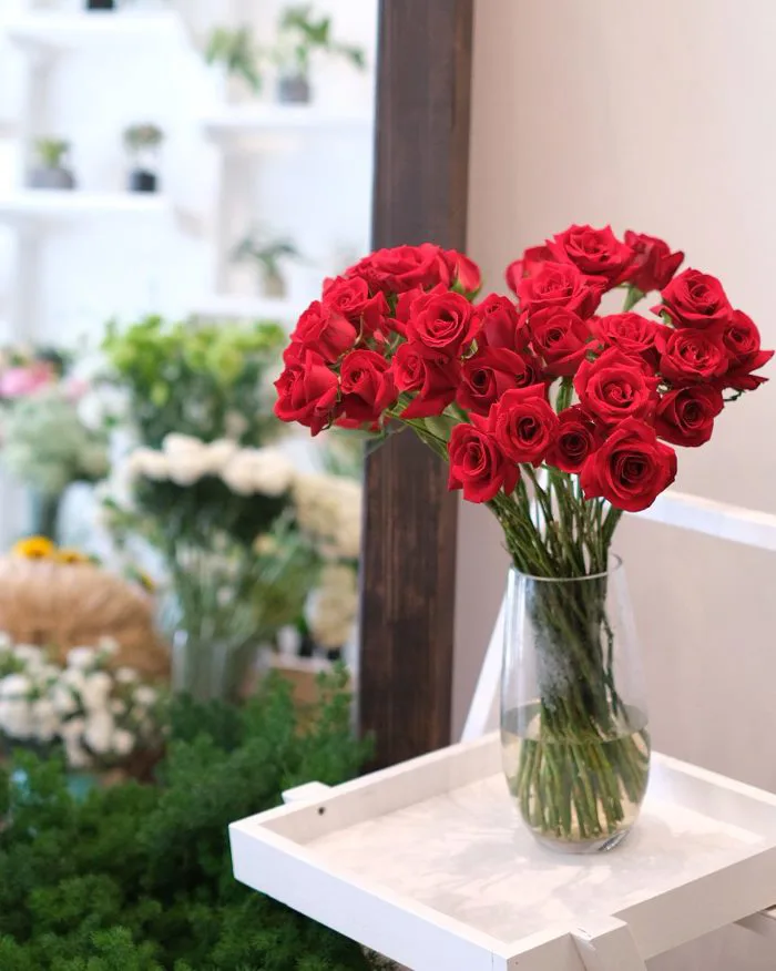 Hoa Hồng Đỏ Ohara - L'amour Flower