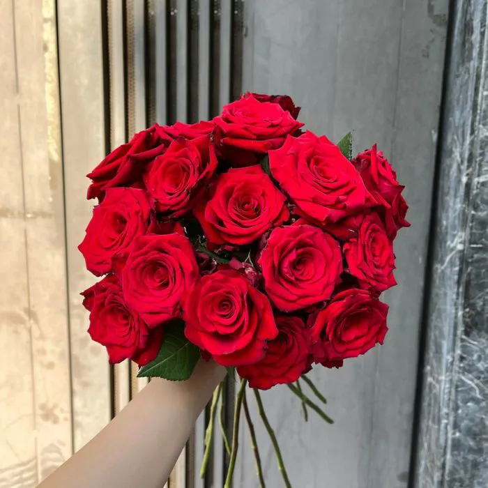 Hoa hồng đỏ cô dâu Đà Lạt