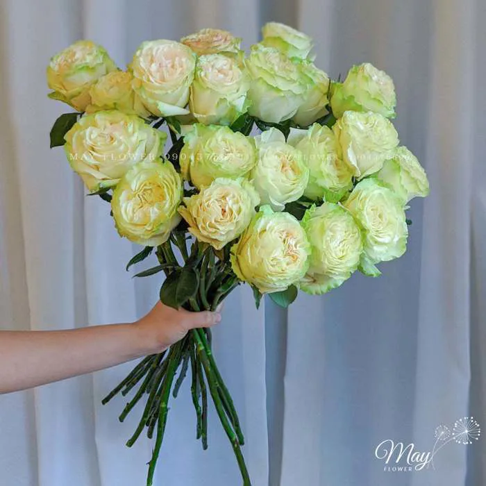 Cách bảo quản hồng xanh lưu ly - Cửa hàng hoa tươi May Flower