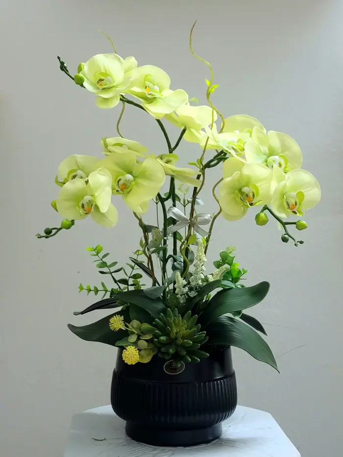 Bình hoa lan hồ điệp 3 bông nhỏ xinh Pula HTT25