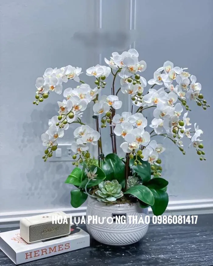 Hoa giả-Lan hồ điệp cao su