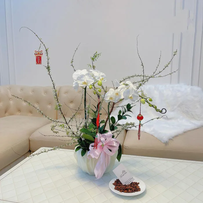 Tìm Hiểu ý Nghĩa Của Hoa Lan Trong Tình Yêu Và Cuộc Sống
