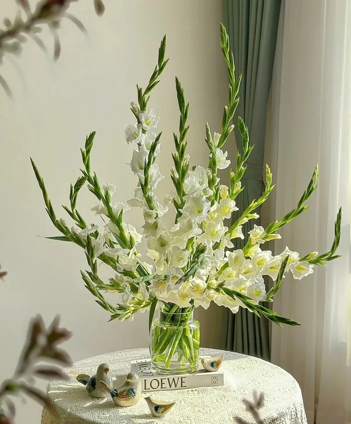 Cách cắm hoa lay ơn, thược dược bền đẹp, thơm lâu - Ngôi sao
