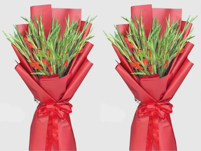 Vì sao hoa lay ơn được chọn để trao tặng trong các nghi thức trang trọng?