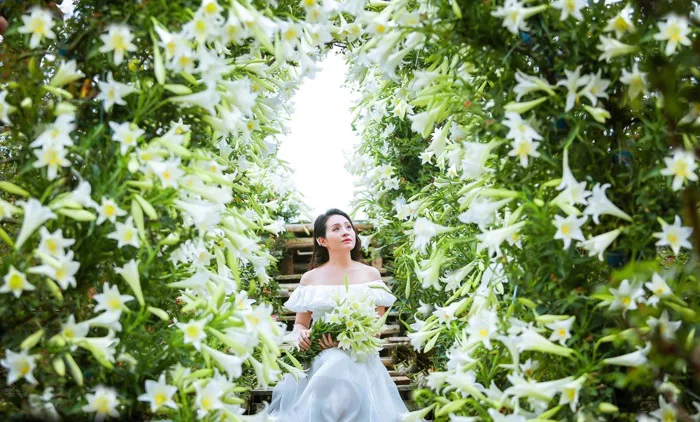 Tháng 4 đến rồi, đừng bỏ lỡ những địa điểm ngắm nhìn hoa loa kèn nở bên  dưới - SAKOS
