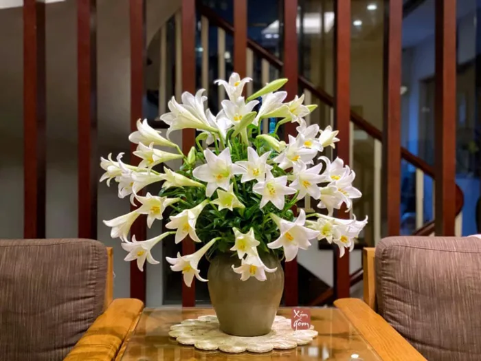 Tháng 4 hoa loa kèn nở, mách chị em cách cắm hoa phù hợp với từng góc nhỏ  trong nhà