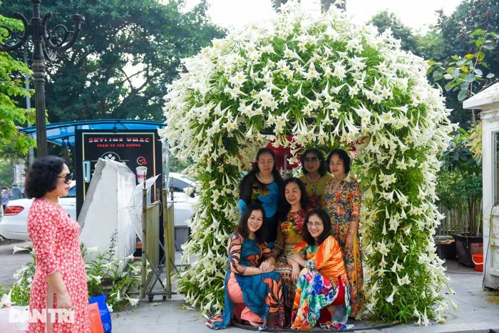 Rừng hoa loa kèn