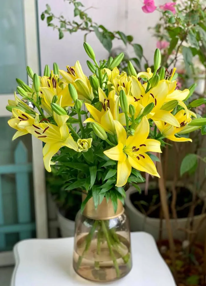 Ly vàng chanh (bó 10 cành) - Hoa tươi Mê Linh