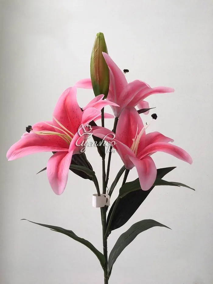 Bình Hoa Ly Vàng