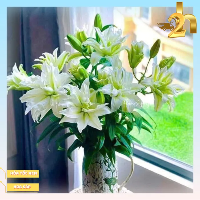 Bó hoa ly kép tươi 5 cành, hoa tươi bán lẻ Hỏa Tốc HCM trang trí nhà cửa  văn phòng flowers to go
