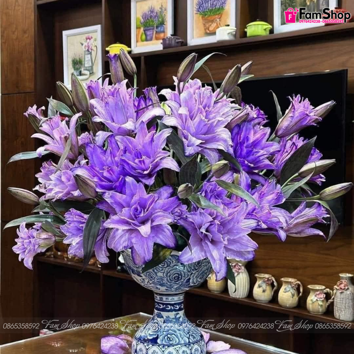 Hoa ly kép tím - màu hoa độc lạ